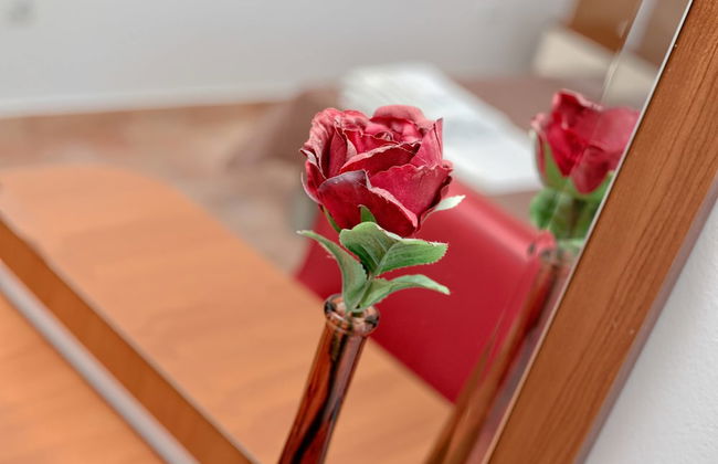 Apartments Ivanovic - Photo 54