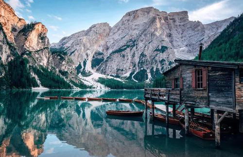 stella alpina - Foto 16