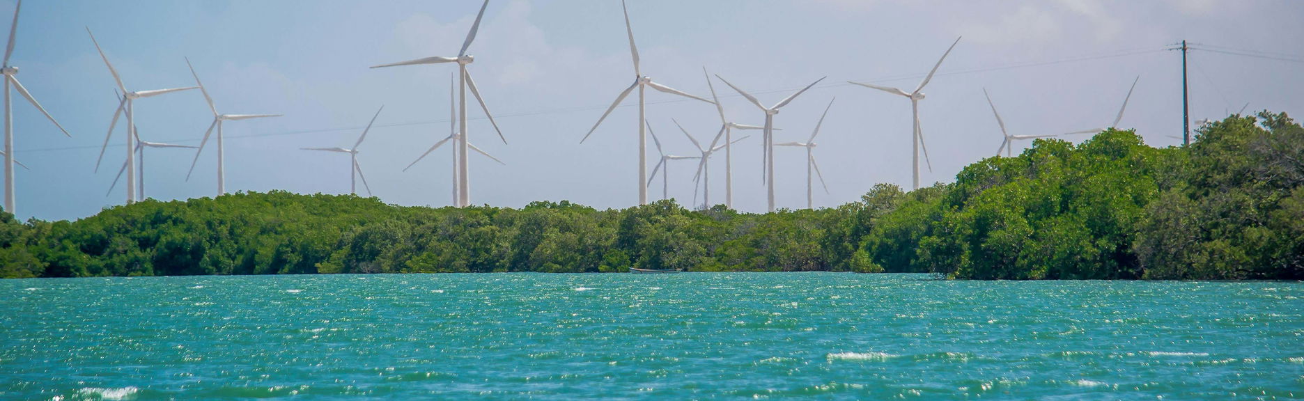 Excursión a Galinhos + Paseo en barco