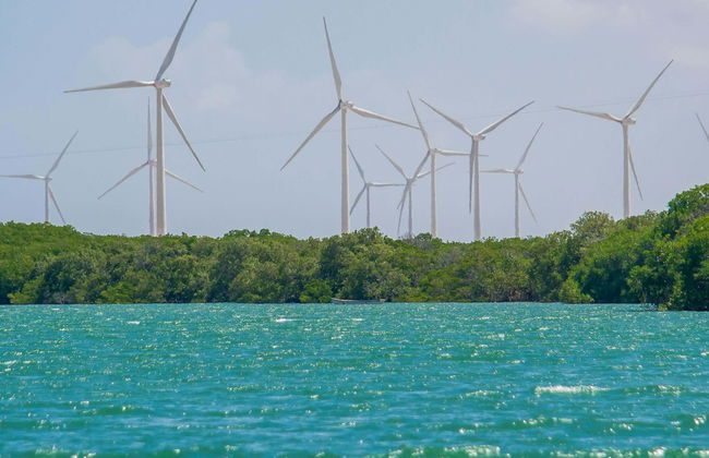 Galinhos Day Trip & Boat Cruise - Photo 1