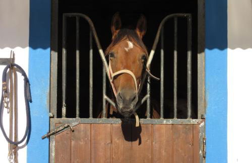 Casa Pura Vida - fantastic sea view - Foto 41