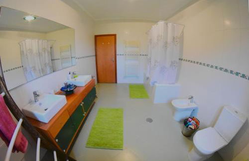 Quinta das Ameixas - Country & Nature - Foto 71