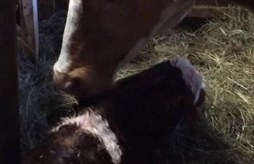 Maso Fiorini - Photo 37