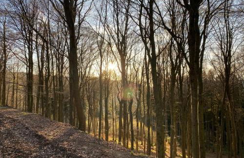 17 AM BERG - Foto 61