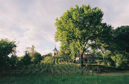 Am Mühlenberg - Photo 25