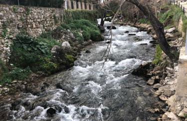 Casa Rural las Rosas de Benaojan - Photo 58