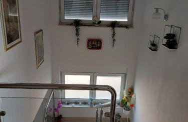 Apartmani GIMI Shine - Foto 20