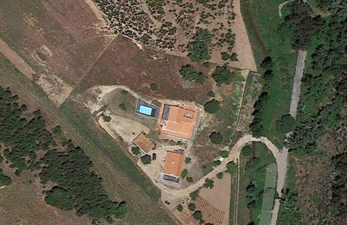 Gecko Pego Longo - Foto 37