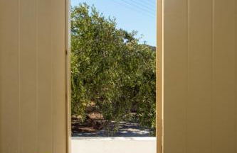 Glaros Kouremenos - Photo 36