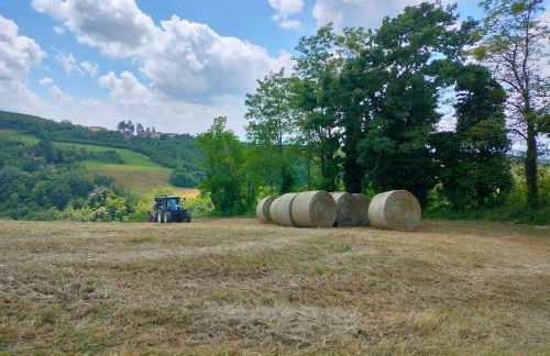 Casa in campagna nelle Langhe - Foto 27