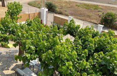 Sea Lilly - Photo 68