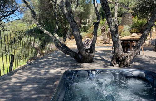 Résidence Licciola - Foto 40