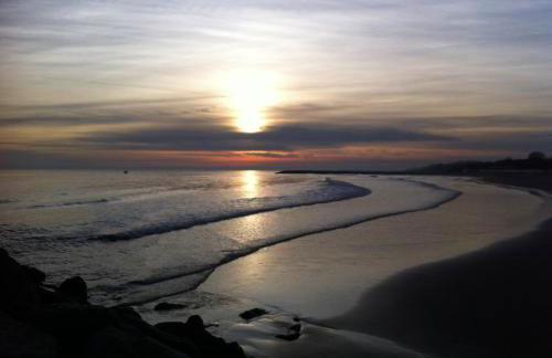 Giardino Fiorito - Foto 17