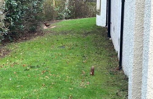 Craig Cottage - Photo 27