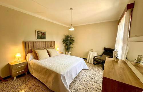 Vinya del mar - Foto 14