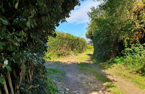 East View Cottage iow - Foto 29