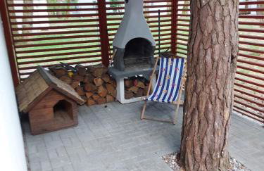 W sosnowym lesie - Foto 8