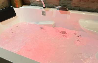 La cabane Romantique et sa balneotherapie - Foto 5