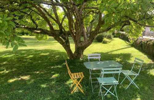 Les magnolias au coeur du vignoble - Foto 17