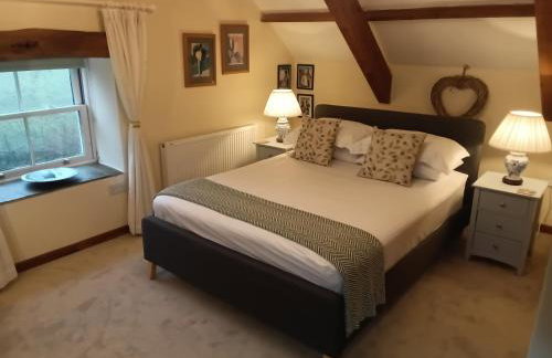 Cottage hideaway on the edge of Bodmin Moor - Foto 10