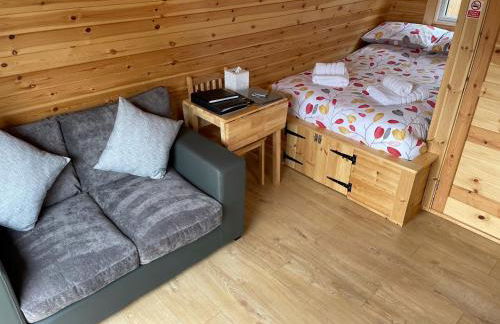 Conifer Cabins - Photo 32