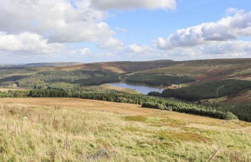 The Cow Shed - Photo 22