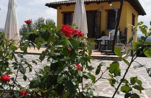 Agriturismo I Tre Ulivi - Foto 19