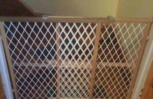 Moose Riverside Bungalow 3BR Home Old Forge NY - Foto 42