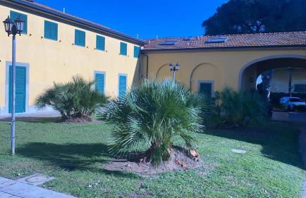 Relax a Baratti -Populonia PIOMBINO - Foto 31