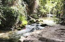 El Mirador del Asno - Photo 34