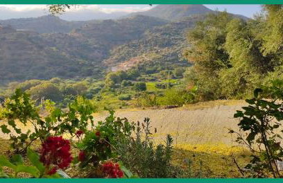 Kampos View Ikaria - Photo 33