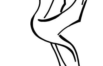 Ferienwohnungen Dargatz - Foto 32