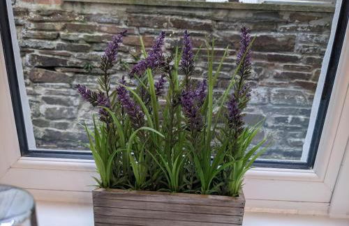 Cape Cottage - Photo 7