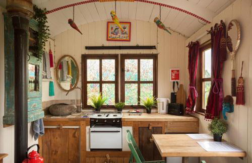 Orchard View Shepherds Hut - Foto 8