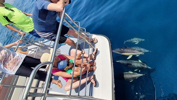Von Lagos : Familienweg - Delfinbeobachtungsfahrt auf einem Katamaran - Foto 4, Kleine Kinder sitzen auf unserer Aussichtsplattform mit zusätzlichen Sicherheitsstangen und können die Delfine in Sicherheit und Komfort sehen.