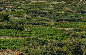 Holiday Home Biserka - Photo 35