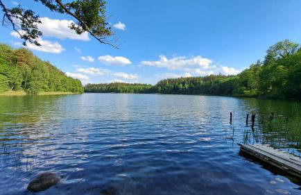 Ostoja Leśna Cisza - Foto 10
