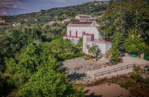 Dimora Filangieri - Photo 1