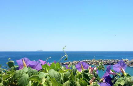 Ikaria Therma Blue - Foto 19