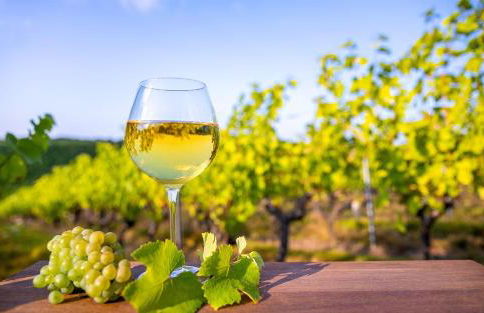 Villa Manosque - Photo 22