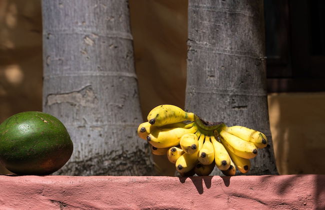 Condo las Palmas - Foto 55