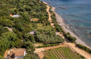 La PAVONCELLA 2 - Foto 28