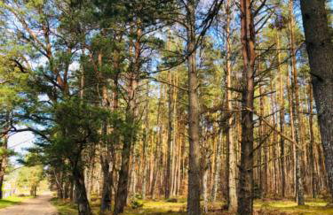 Znowu wrócisz - Foto 63