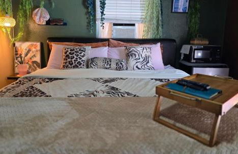 Jungle Oasis By Busch Gardens USF and Amphitheater - Foto 19