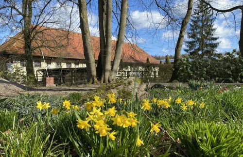 Ferienhaus mit Terrasse - Foto 52