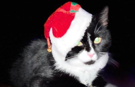 Ferienwohnung Amethyst - Photo 20