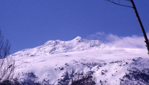 Alojamientos la Abuela - Foto 3