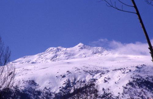 Alojamientos la Abuela - Foto 3
