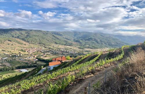 Quinta da Penada - Vineyard & Winery - Suíte 3 - Foto 28