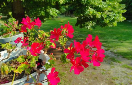 Casa Parco Trebbia, 15 min Grazzano/Bobbio, 1h MI - Foto 32